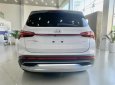 Hyundai Santa Fe 2023 - Hyundai Santa Fe 2023 tại Tp.HCM