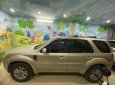 Ford Escape 2010 - Xe gia đình đi ít