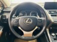 Lexus NX 300 2019 - Nhập khẩu Nhật Bản - Sang trọng - Đẳng cấp