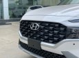 Hyundai Santa Fe 2023 - Hyundai Long Biên