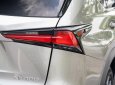 Lexus NX 300 2020 - Cần bán xe odo 1,9 vạn km