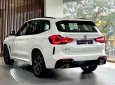 BMW X3 2023 - Chương trình đặc biệt BMW X3 30i M Sport LCI