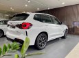 BMW X3 2023 - Chương trình đặc biệt BMW X3 30i M Sport LCI