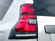 Toyota Land Cruiser Prado 2014 - Màu bạc, nhập khẩu nguyên chiếc