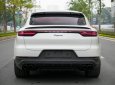 Porsche Cayenne 2020 - Model 2021 giá 5 tỷ 770tr