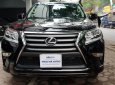 Lexus GX 460 2013 - Màu đen, nội thất nâu
