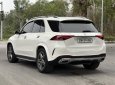 Mercedes-Benz GLE 450 2020 - Trắng, nội thất nâu