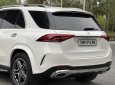 Mercedes-Benz GLE 450 2020 - Trắng, nội thất nâu