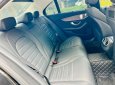 Mercedes-Benz C 250 2019 - Xe màu đen