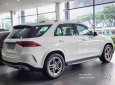 Mercedes-Benz GLE 450 2023 - Nhập khẩu nguyên chiếc - Tặng bộ phụ kiện, gói nghỉ dưỡng cao cấp