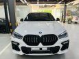 BMW X6 2020 - Màu trắng, nội thất nâu