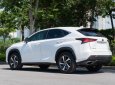 Lexus NX 300 2017 - Xe màu trắng