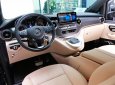 Mercedes-Benz V250 2023 - Ưu đãi hấp dẫn + Nhiều quà tặng