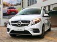 Mercedes-Benz V250 2023 - Ưu đãi hấp dẫn + Nhiều quà tặng