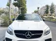 Mercedes-Benz GLE 450 2016 - Trùm mền ít chạy odo thấp 1 đời chủ