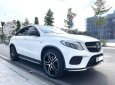 Mercedes-Benz GLE 450 2016 - Trùm mền ít chạy odo thấp 1 đời chủ