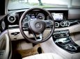 Mercedes-Benz E250 2019 - Xe màu đen