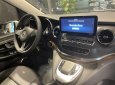 Mercedes-Benz V250 2023 - Tặng gói bảo hiểm vật chất - Quà tặng chính hãng Mer - Bảo hành 03 năm