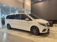 Mercedes-Benz V250 2023 - Tặng gói bảo hiểm vật chất - Quà tặng chính hãng Mer - Bảo hành 03 năm