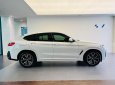 BMW X4 2023 - Ưu đãi 250tr tháng 4/2023, lô mới nhập về đủ màu, có xe giao ngay