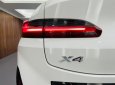 BMW X4 2023 - Ưu đãi 250tr tháng 4/2023, lô mới nhập về đủ màu, có xe giao ngay
