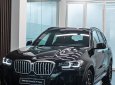 BMW X3 2022 - Giao ngay, đủ màu, ưu đãi tiền mặt lên đến 100tr, quà tặng cùng tặng full phụ kiện theo xe