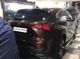 Lexus NX 300 2020 - Xe gia đình ít sử dụng còn thơm mùi xe mới