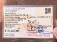 Ảnh số 35
