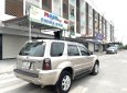 Ford Escape 2008 - Tư nhân chính chủ mua mới từ đầu