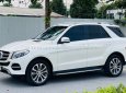 Mercedes-Benz GLE 400 2016 - Màu trắng, xe nhập