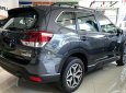 Subaru Forester 2023 - Subaru Forester 2023 số tự động tại Tp.HCM