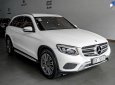 Mercedes-Benz GLC 250 2019 - Siêu mới
