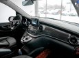 Mercedes-Benz V250 2019 - Bao đậu bank 70-90%