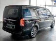 Mercedes-Benz V250 2019 - Bao đậu bank 70-90%