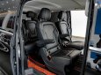 Mercedes-Benz V250 2019 - Bao đậu bank 70-90%