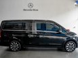 Mercedes-Benz V250 2019 - Bao đậu bank 70-90%