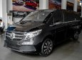 Mercedes-Benz V250 2019 - Bao đậu bank 70-90%