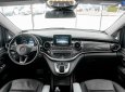 Mercedes-Benz V250 2019 - Bao đậu bank 70-90%