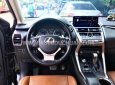 Lexus NX 300 2019 - Tư nhân 1 chủ từ mới