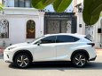 Lexus NX 300 2019 - Cực đẹp màu trắng