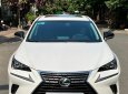 Lexus NX 300 2019 - Cực đẹp màu trắng