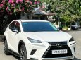 Lexus NX 300 2019 - Cực đẹp màu trắng