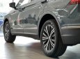 Volkswagen Tiguan 2023 - Màu xanh petro xanh độc lạ của Volkswagen - Mua xe miễn lãi 0% lãi suất