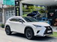 Lexus NX 300 2018 - Model 2019