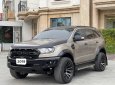 Ford Everest 2019 - Odo 6 vạn biển tỉnh