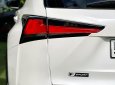 Lexus NX 300 2018 - Model 2019