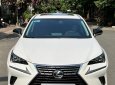 Lexus NX 300 2020 - Nước sơn zin 100% xe gia đình sử dụng ít