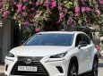 Lexus NX 300 2020 - Nước sơn zin 100% xe gia đình sử dụng ít