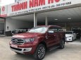 Ford Everest 2020 - Biển tỉnh, xe đẹp xuất sắc