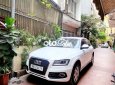 Audi Q5 Chính chủ cần bán   2016 - Chính chủ cần bán Audi Q5